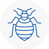 Bed Bug Extermination In Woburn Sands