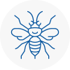 Woburn Sands Hornet Nest Removals
