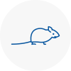 Mice Exterminators In Woburn Sands