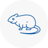 Rat Control Woburn Sands