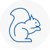 Woburn Sands Rodent Removals
