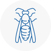 Woburn Sands Wasp Nest Removal